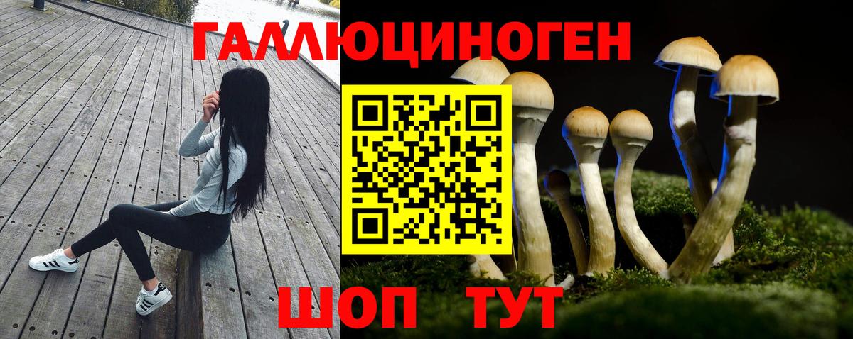 где купить наркоту  Псилоцибиновые грибы прущие грибы  Вход с VPN  Клин  Псилоцибиновые грибы MAGIC MUSHROOMS 